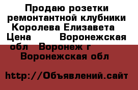 Продаю розетки ремонтантной клубники Королева Елизавета › Цена ­ 25 - Воронежская обл., Воронеж г.  »    . Воронежская обл.